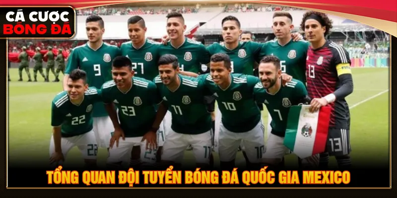 Đội tuyển bóng gia quốc gia Mexico định hình vị thế