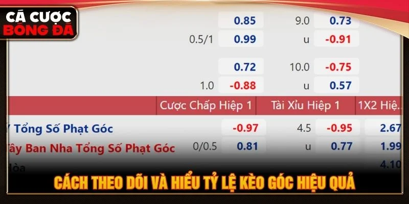 Bảng tỷ lệ kèo thường thể hiện các mức kèo và tỷ lệ chấp 